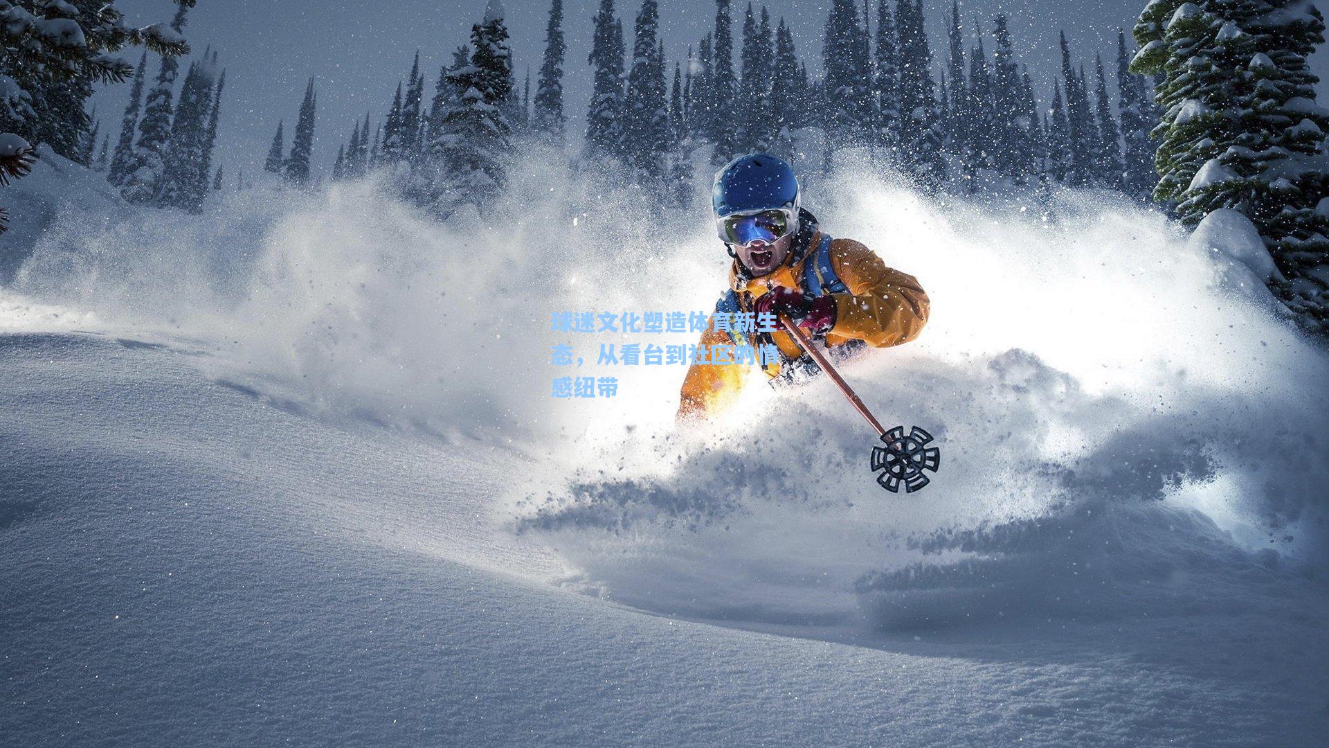 球迷文化塑造体育新生态,从看台到社区的情感纽带