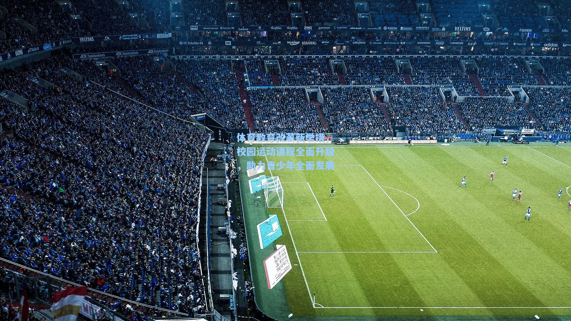 体育教育改革新举措，校园运动课程全面升级，助力青少年全面发展