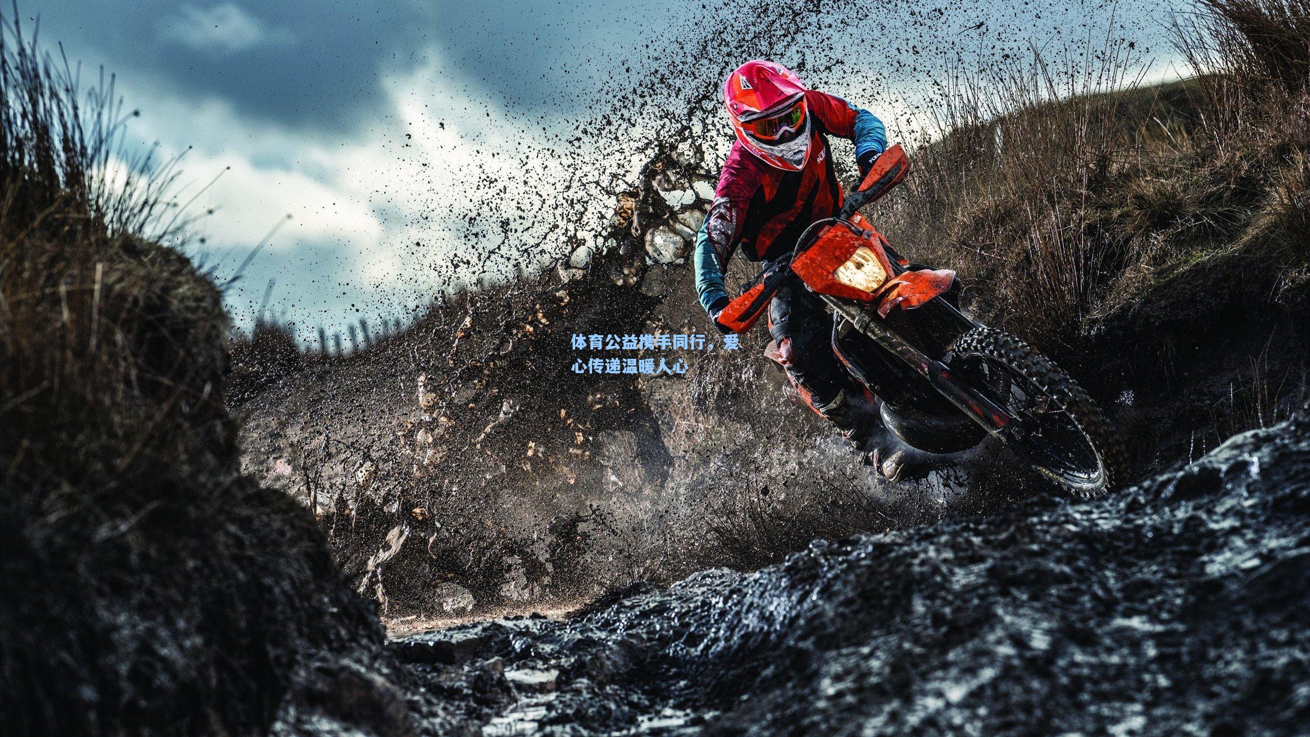 壹号娱乐下载：体育公益携手同行，爱心传递温暖人心