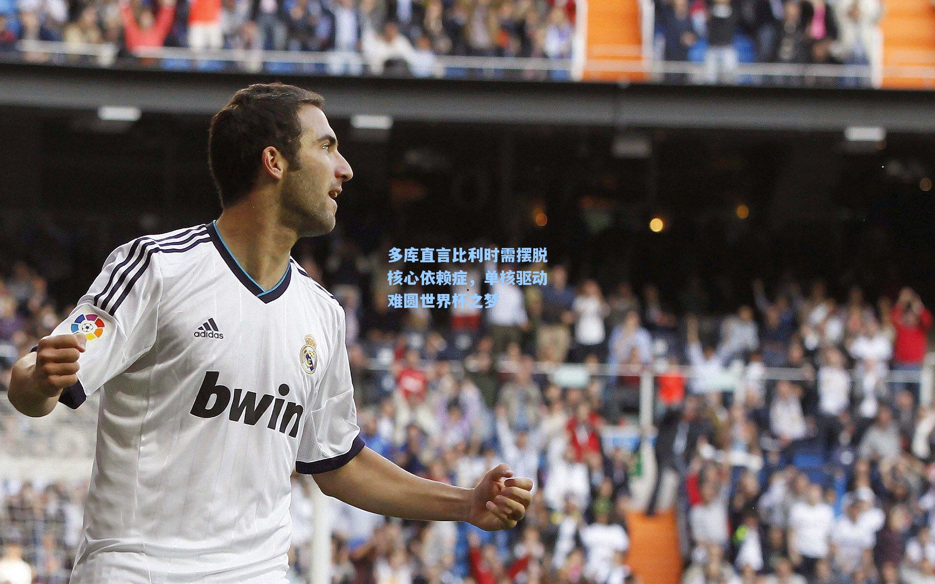 多库直言比利时需摆脱核心依赖症，单核驱动难圆世界杯之梦