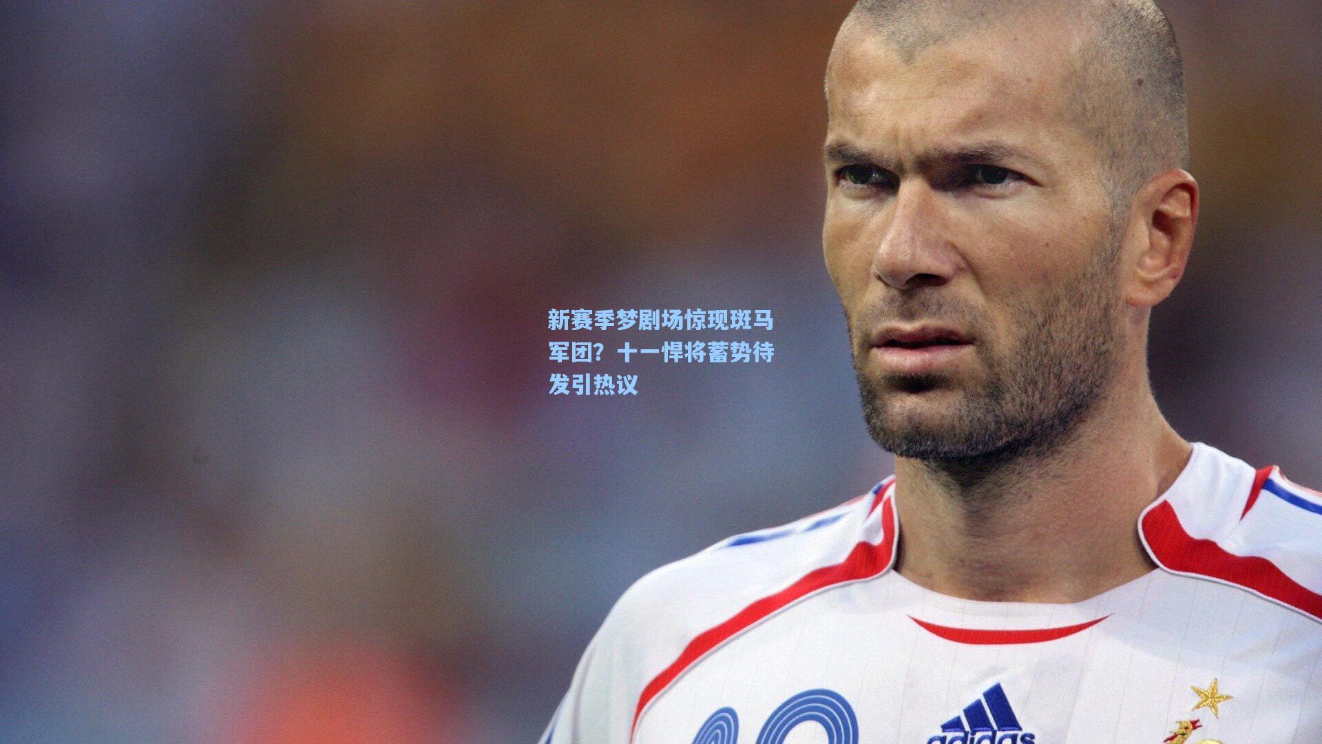 新赛季梦剧场惊现斑马军团？十一悍将蓄势待发引热议